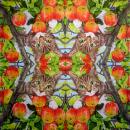 KAT-367 Cats - 3-ply - ppd - Two Can Art